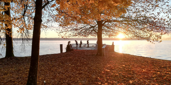 Herbstbäume in der Sonne